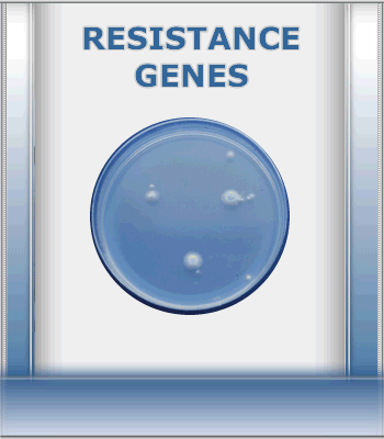 Resistance Genes