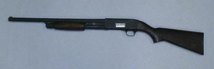 12 gauge shot gun