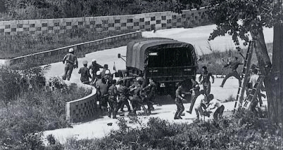 Tree-trimming incident, 1976